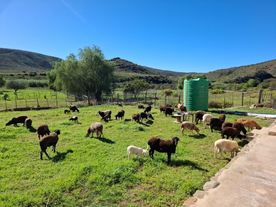 2 Bedroom Property for Sale in Oudtshoorn Rural Western Cape